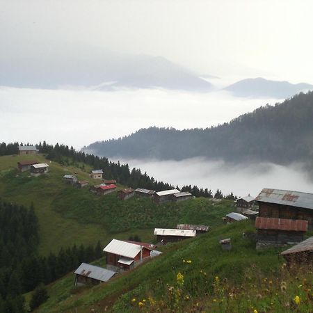 Ayder Hasimoglu Hotel Zewnętrze zdjęcie